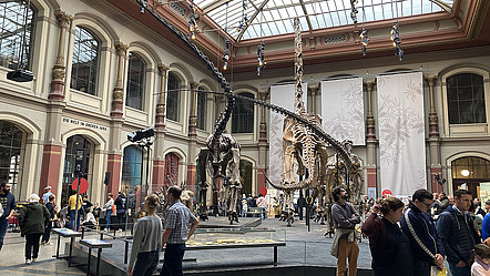 Die Eingangshalle des Museum für Naturkunde mit Dinosaurier-Skellet.