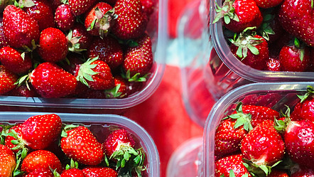 rote Erdbeeren im durchsichtigen Plastikbehälter